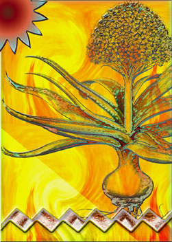 nature's best-1 custom card cover